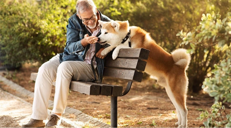 alimler-itlerin-insanin-qorxusunu-nece-anladiqlarini-oyrenibler