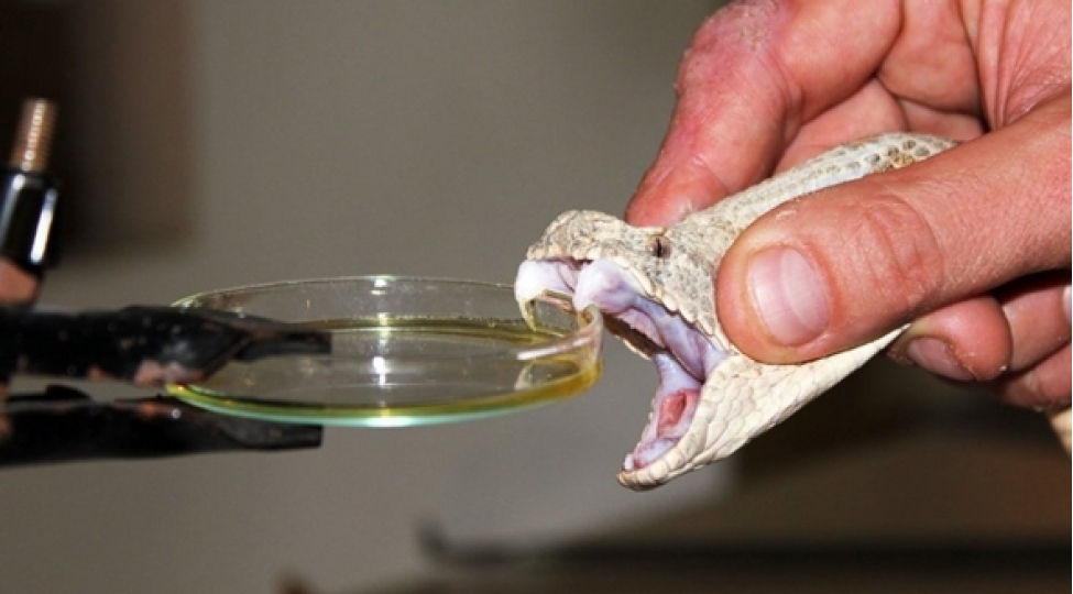 alimlerden-yeni-keshf-4