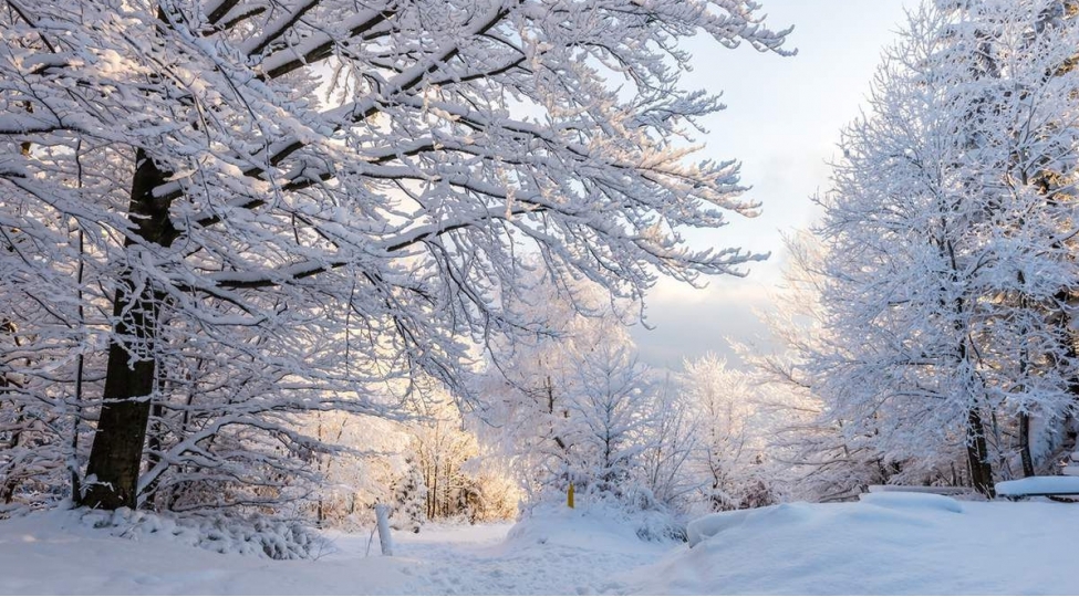 bdu-nun-astrofizika-kafedrasi-qish-fesli-azerbaycana-dekabrin-21-i-saat-190301-de-daxil-olacaq