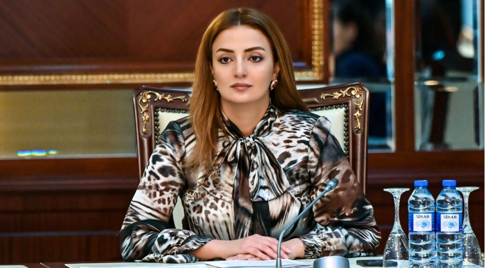 emek-mecellesine-edilen-deyishiklikler-sosialyonumlu-huquqi-tenzimlemelerin-tetbiqini-nezerde-tutur