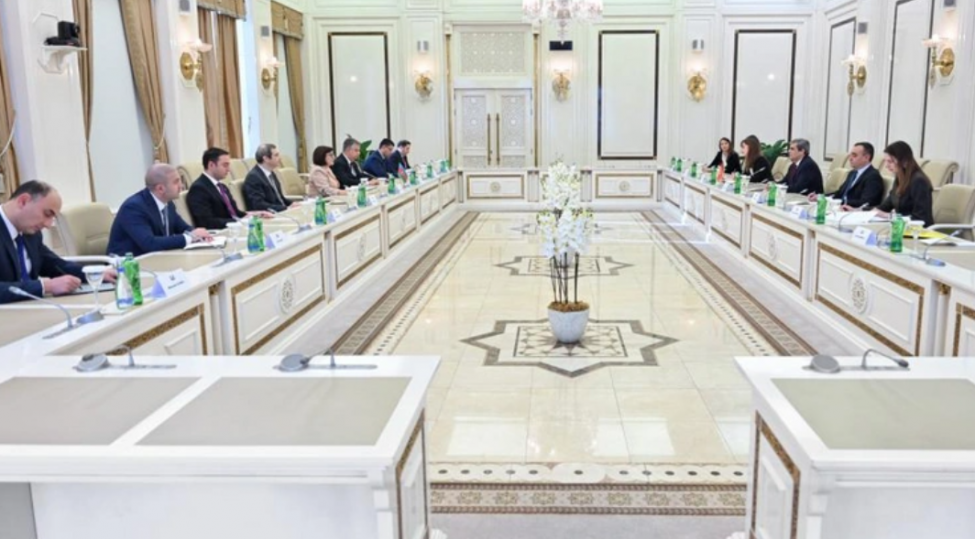 sahibe-qafarova-ervin-ibrahimovichin-rehberlik-etdiyi-numayende-heyeti-ile-gorushub