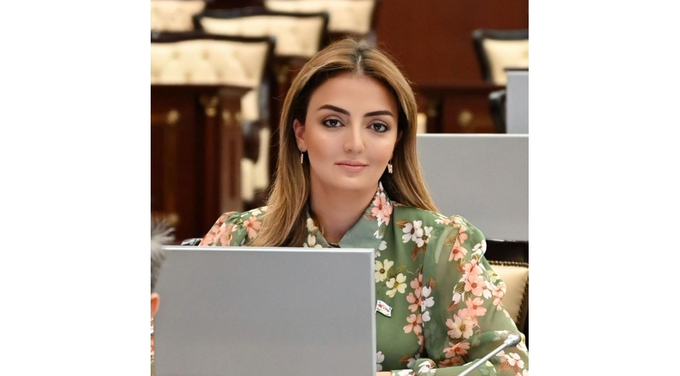 prezidentin-idman-ictimaiyyeti-ile-gorushu-uzunmuddetli-strategiyalarin-reallashmasini-suretlendirir