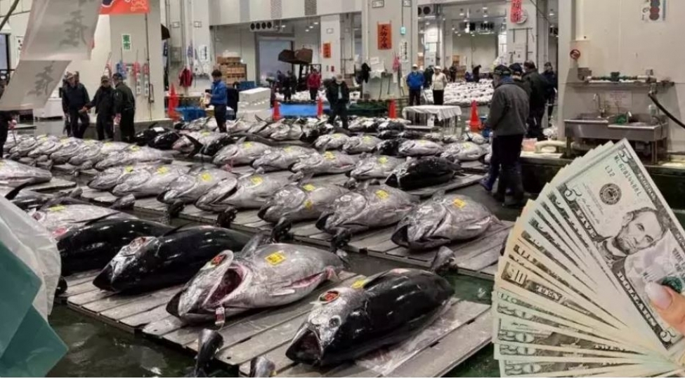 32-milyon-dollara-baliq-olar-yeni-il-herracinda-rekord