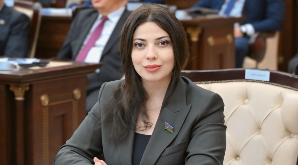 regionun-gelecek-inkishafi-uchun-muhum-ehemiyyet-dashiyan-dovlet-proqrami