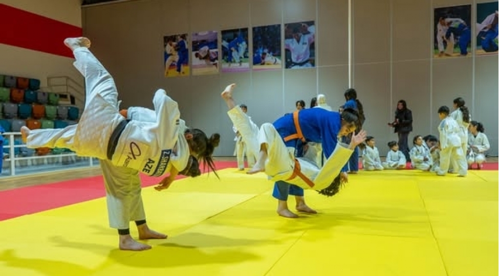 gence-idman-sarayinda-yeni-cudo-zali-fealiyyete-bashlayib