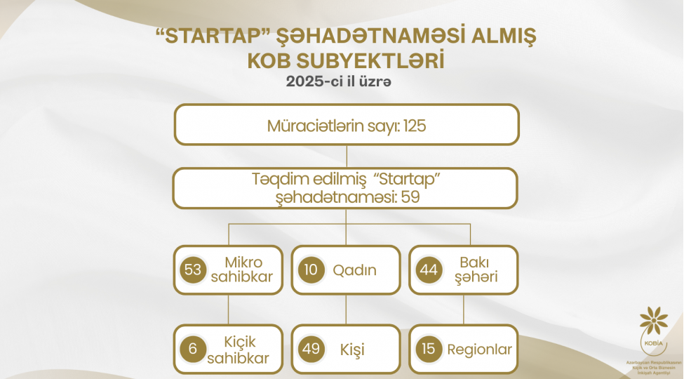 2025-ci-ilde-59-mikro-ve-kichik-sahibkar-innovativ-layiheler-uzre-vergi-guzeshtleri-elde-edib