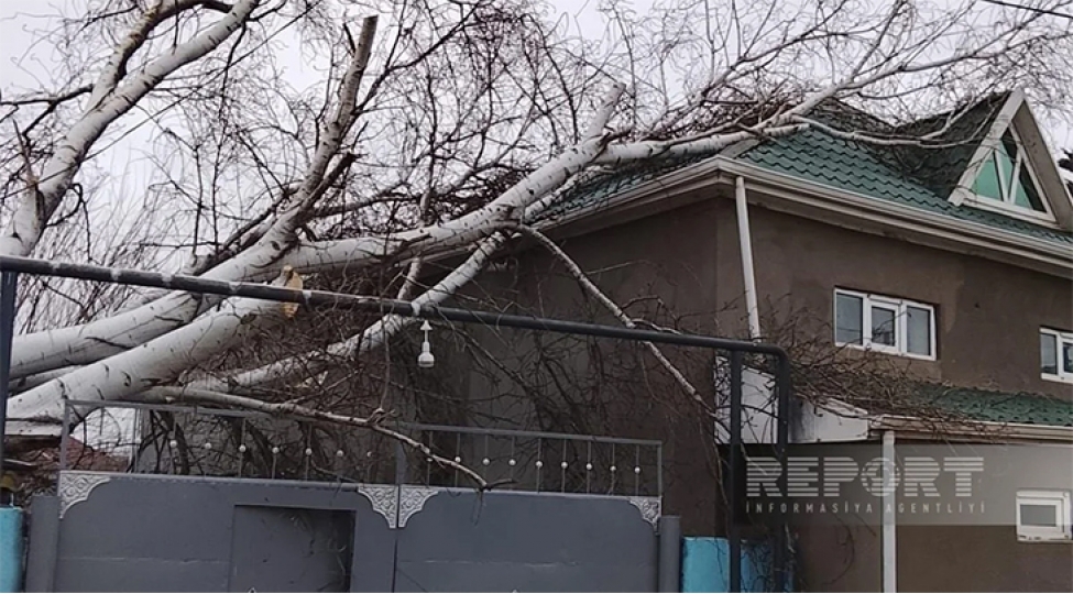 bilesuvar-ve-celilabadda-guclu-kulek-bir-sira-fesadlara-sebeb-olub