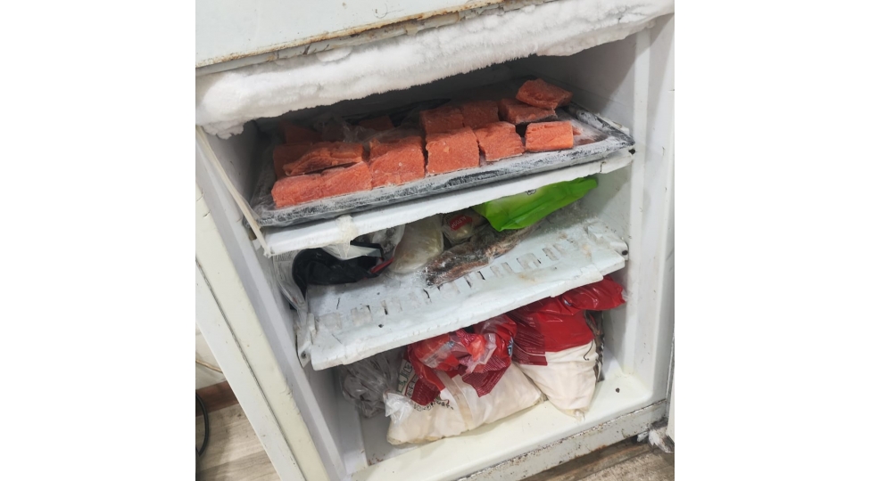 sushinano-sushi-emali-muessisesinin-fealiyyeti-muveqqeti-dayandirilib