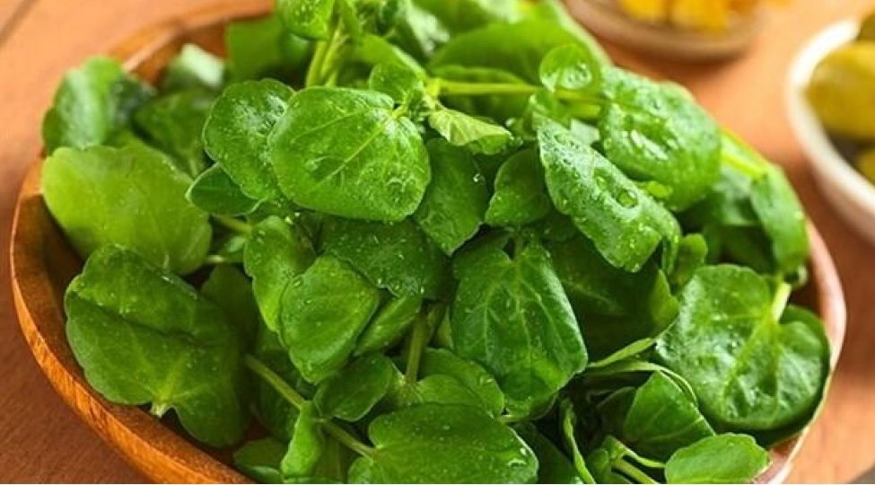 kollagen-terkibli-qida-elaveleri-derinin-elastikliyini-artirir-lakin