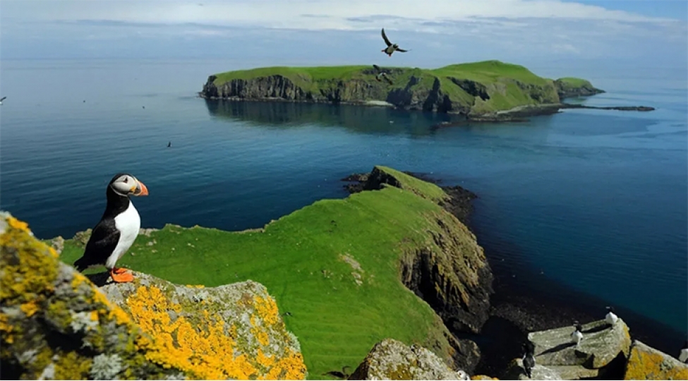 britaniya-chaqos-razilashmasini-dayandirir