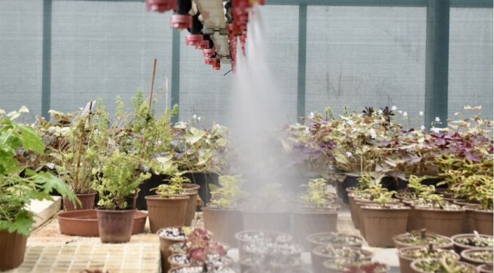 bmt-nin-bash-eksperti-cop31-de-esas-diqqeti-su-bohranina-yoneltmeye-chagirib