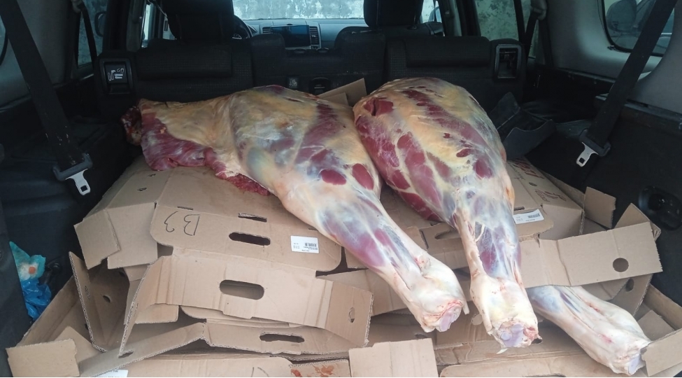 reyd-zamani-istehlaka-yararsiz-227-kq-at-eti-ashkarlanib