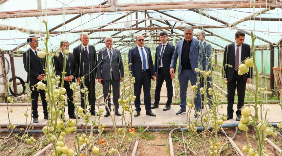 yalchin-camalov-naxchivanda-vetendashlari-qebul-edib-teserrufatlara-bash-chekib