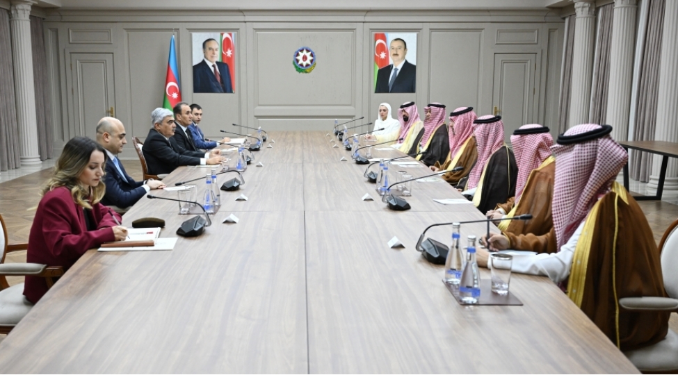 bash-nazirin-muavini-samir-sherifov-seudiyye-erebistaninin-numayende-heyeti-ile-gorushub