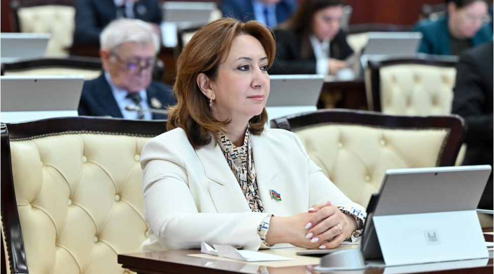 sherqin-ilk-parlament-respublikasindan-regional-lider-dovlete