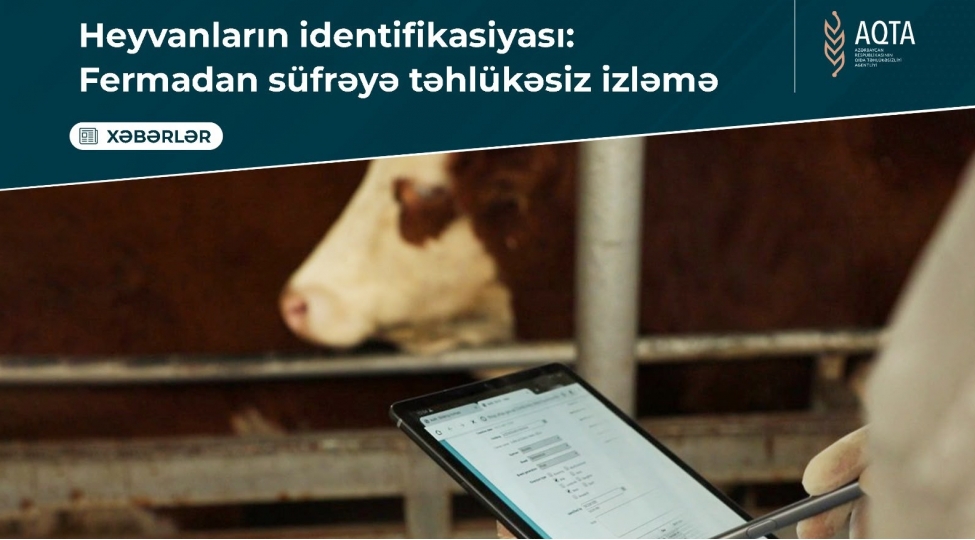 heyvanlarin-identifikasiyasi-fermadan-sufreye-tehlukesiz-izleme