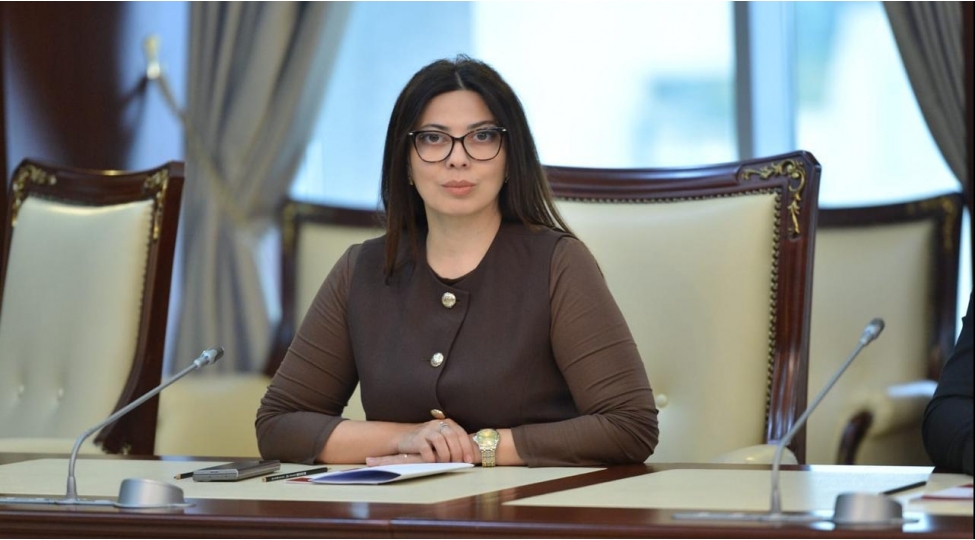 qurtulushdan-zefere-azerbaycanin-guclenen-dovletchiliyinin-ve-qardashliq-siyasetinin-tentenesi