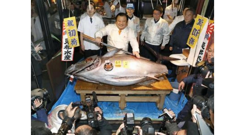 news-65605