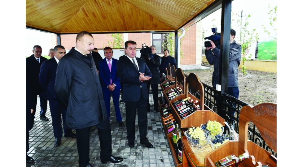 news-56369