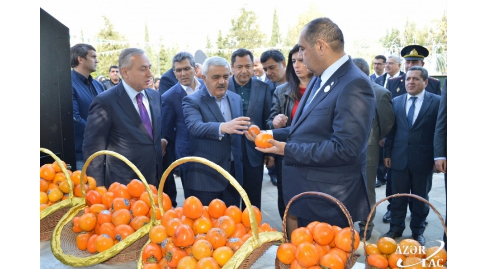 news-93615