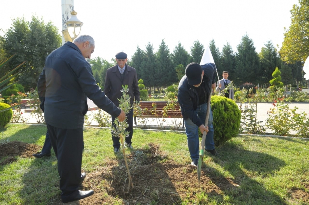 Goranboyda  ağacəkmə aksiyası keçirilib -FOTO 
