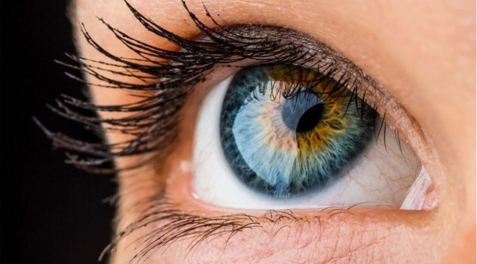 buynuz-qishanin-xestelikleri