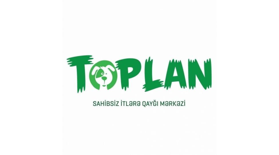 toplan-sahibsiz-itlere-qaygi-merkezi-yeni-siginacaqlar-insha-edir