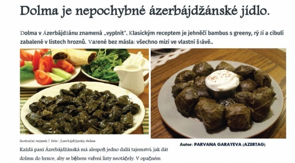 chexiya-neshri-dolmadan-yazib