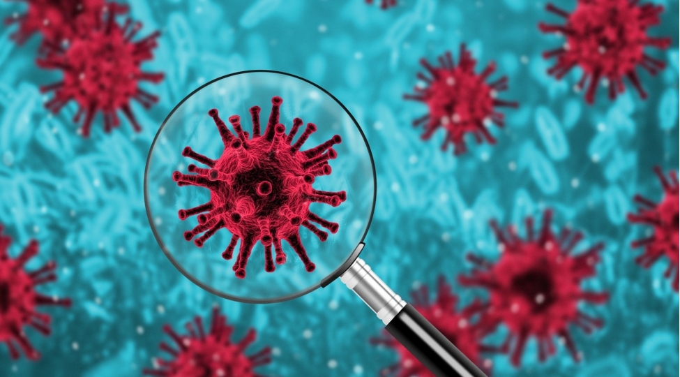 koronavirus-pandemiyasinin-pik-noqtesinin-tarixi-mueyyenleshdi
