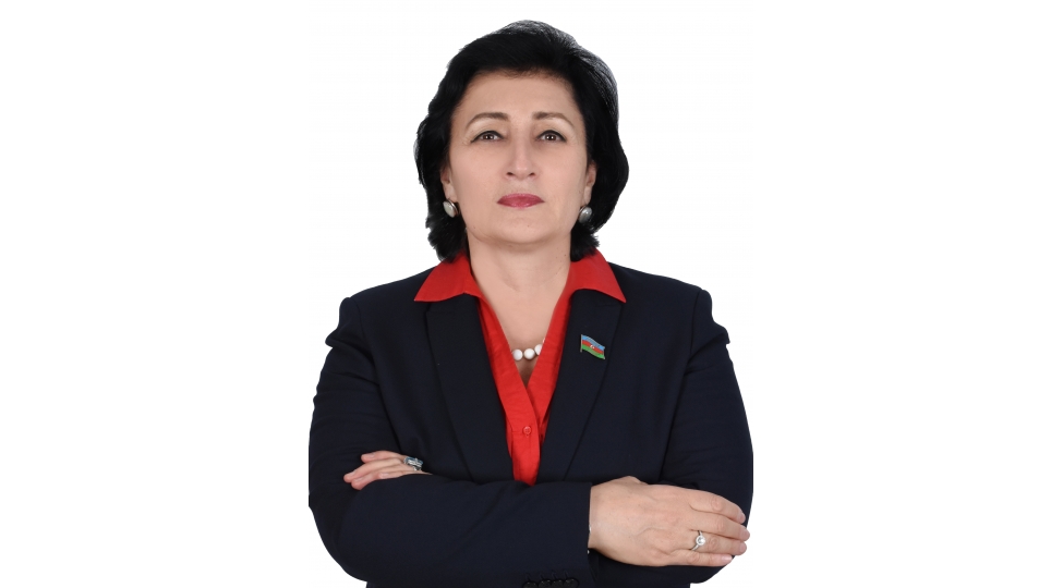 melahet-ibrahimqizi-meishet-zorakiligi-ile-bagli-qanunda-mueyyen-yanashmalar-deyishmelidir