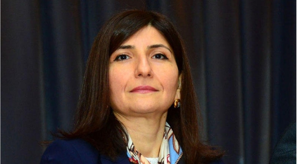 sevil-mikayilova-prezident-ilham-eliyevin-heyata-kechirdiyi-tedbirler-plani-azerbaycan-vetendashlarinin-tehlukesizliyini-temin-etmek-meqsedi-dashiyir
