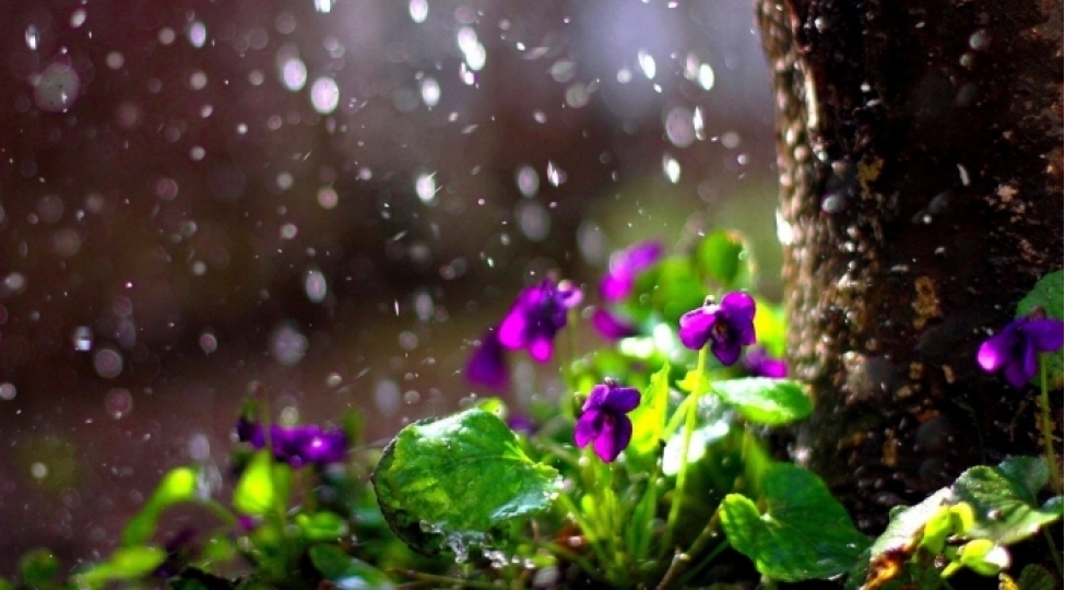 hava-sheraitinin-deyisheceyi-ile-bagli-xeberdarliq-2