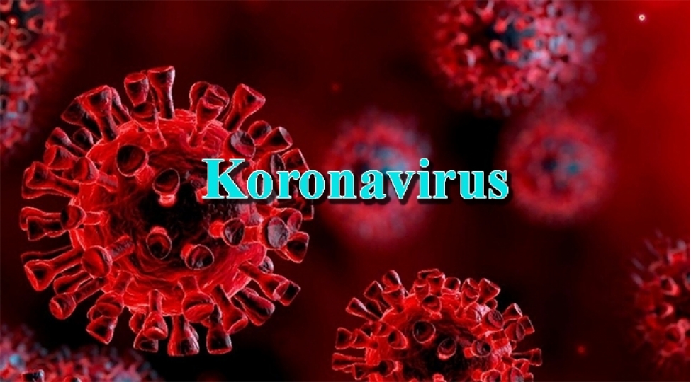 son-sutkada-azerbaycanda-neche-nefer-koronavirusdan-sagalib-yoluxma-neche-neferdir