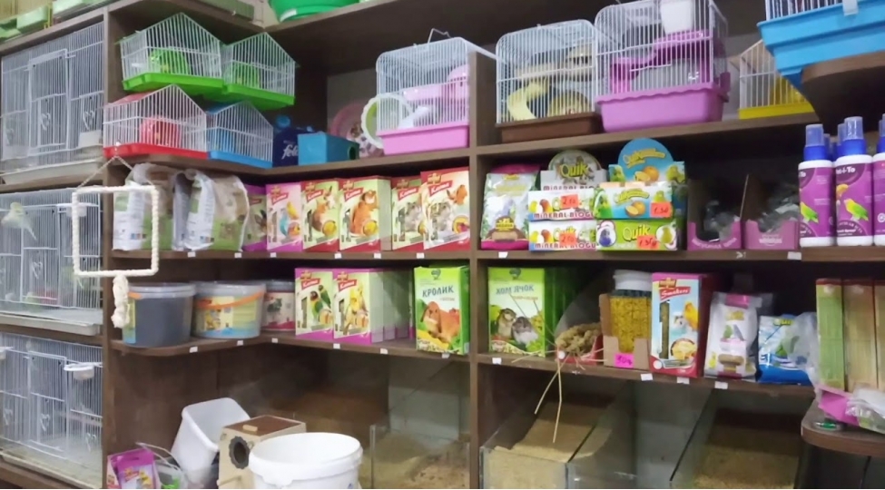 zoo-magazalar-sert-karantin-dovrunde-nece-fealiyyet-gosterecek