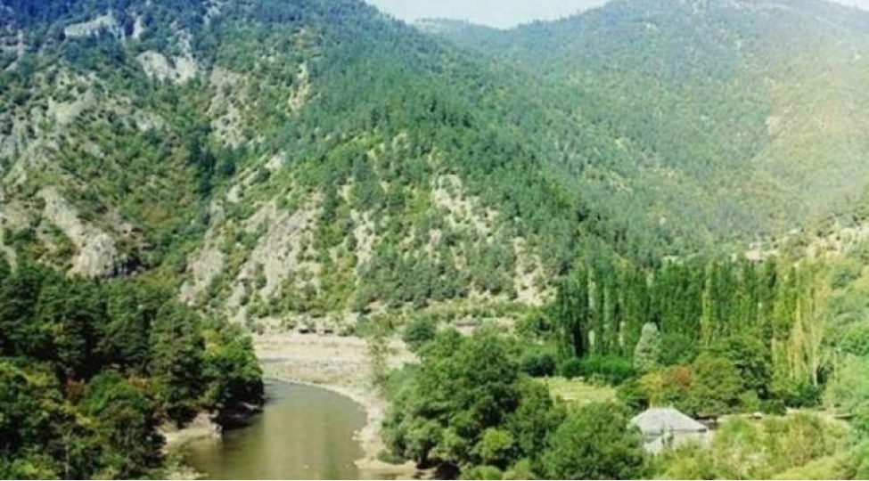 avropada-birinci-dunyada-ise-ikinci-yeri-tutur-zengilanin-chinar-meshesi