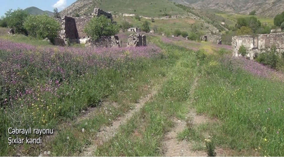 cebrayilin-shixlar-kendi-video