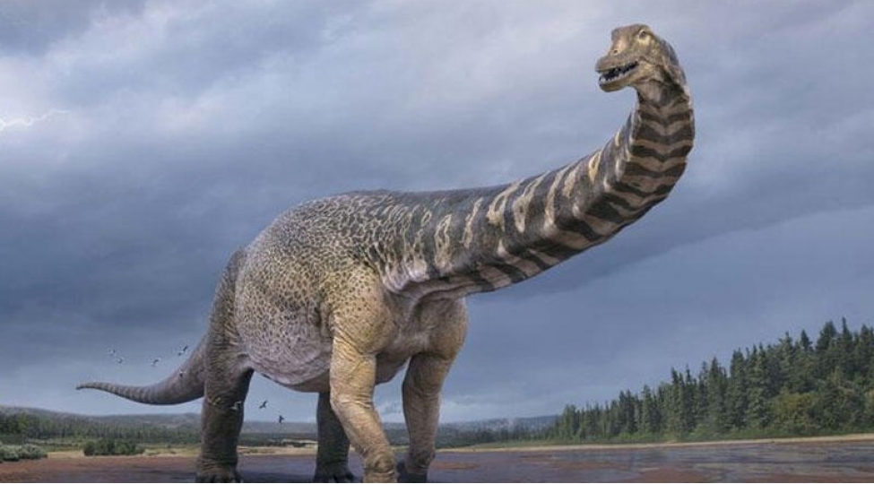 en-boyuk-dinozavr-tapilib