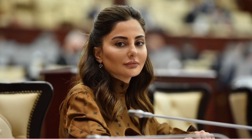 yeni-regional-emekdashliq-modeli-qurulmaqdadir