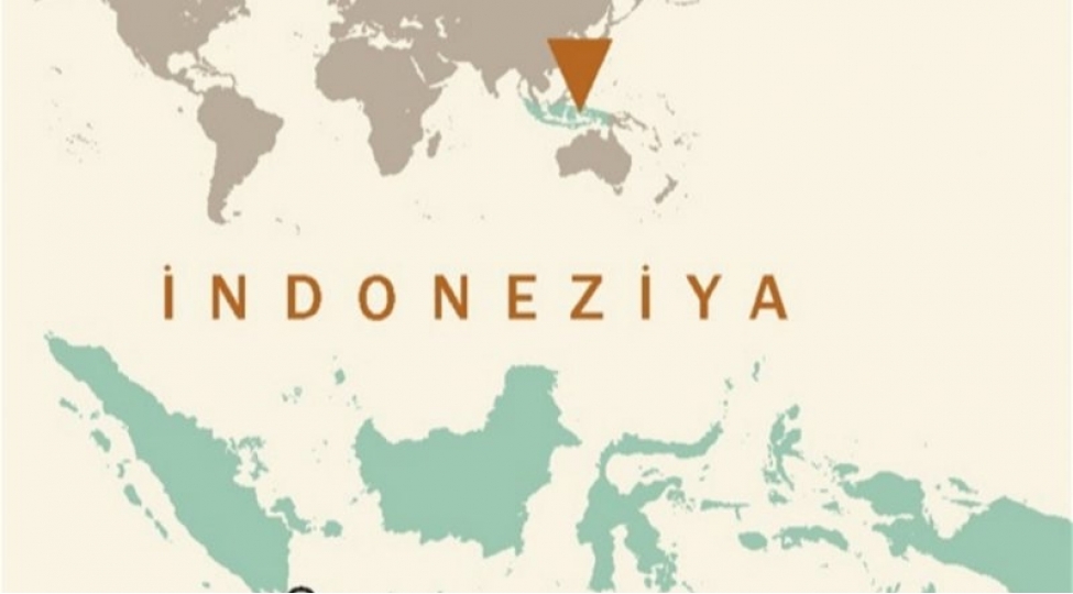 indoneziya-sechkiye-mudaxile-etdiyine-gore-uch-fransa-vetendashini-deportasiya-edib