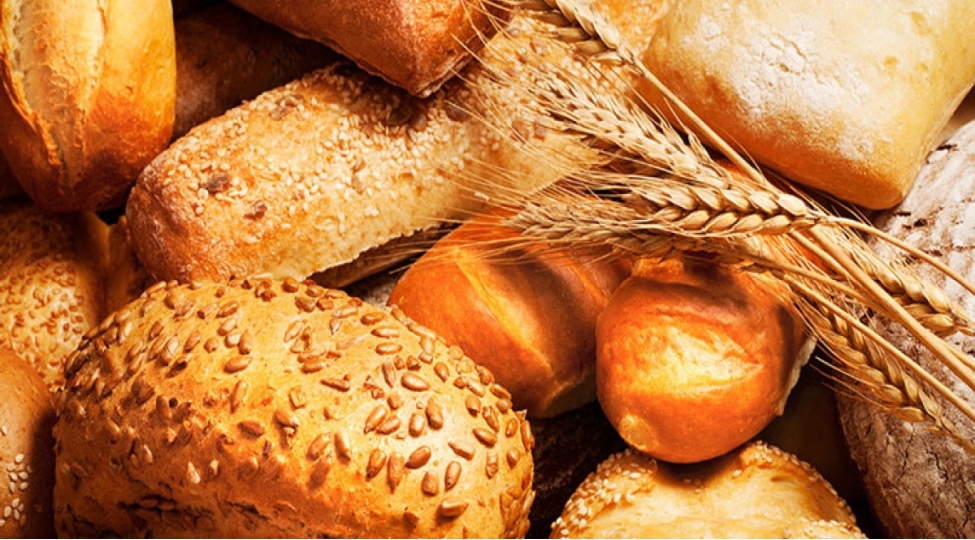 bakida-chorek-shirketi-fealiyyetini-dayandirir