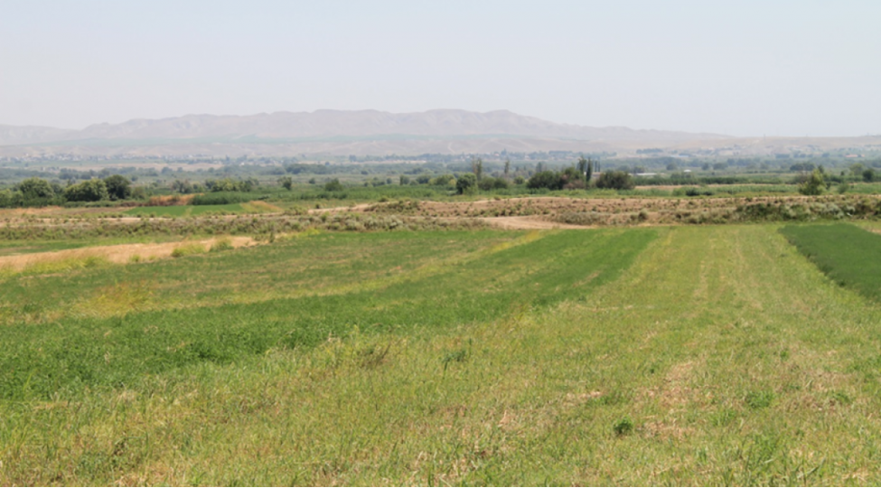 aran-qarabagin-ekinalti-torpaqlari-fiziki-kimyevi-deqradasiyaya-meruz-qalib