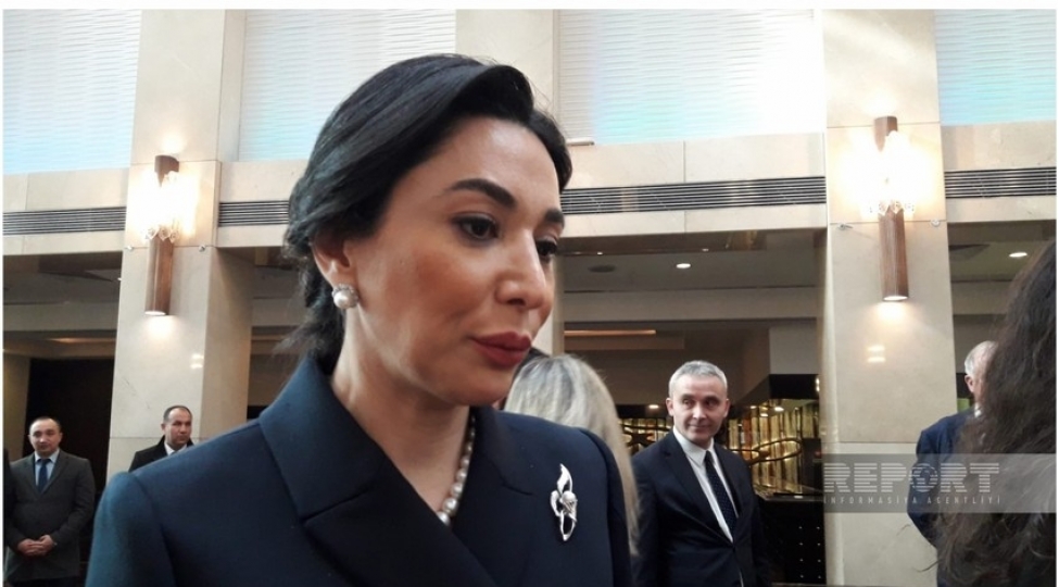 erazilerimizdeki-qeyri-qanuni-istismarin-region-uchun-tehluke-oldugunu-dunya-bilmelidir-ombudsman