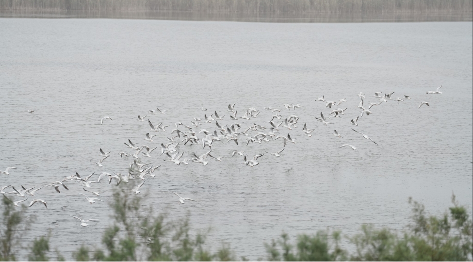 bolgelerdeki-ekoloji-tarazliq-mutleq-qorunmali-etraf-muhite-boyuk-diqqet-gosterilmelidir