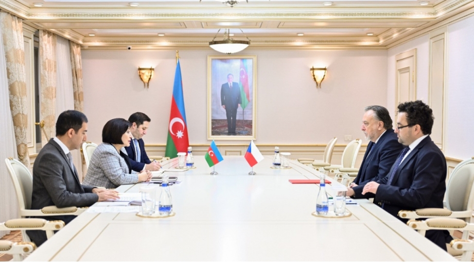 sahibe-qafarova-chex-respublikasinin-sefiri-ile-gorushub