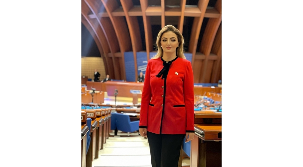 konul-nurullayeva-ashpa-nin-alt-komitesinin-sedr-muavini-sechildi