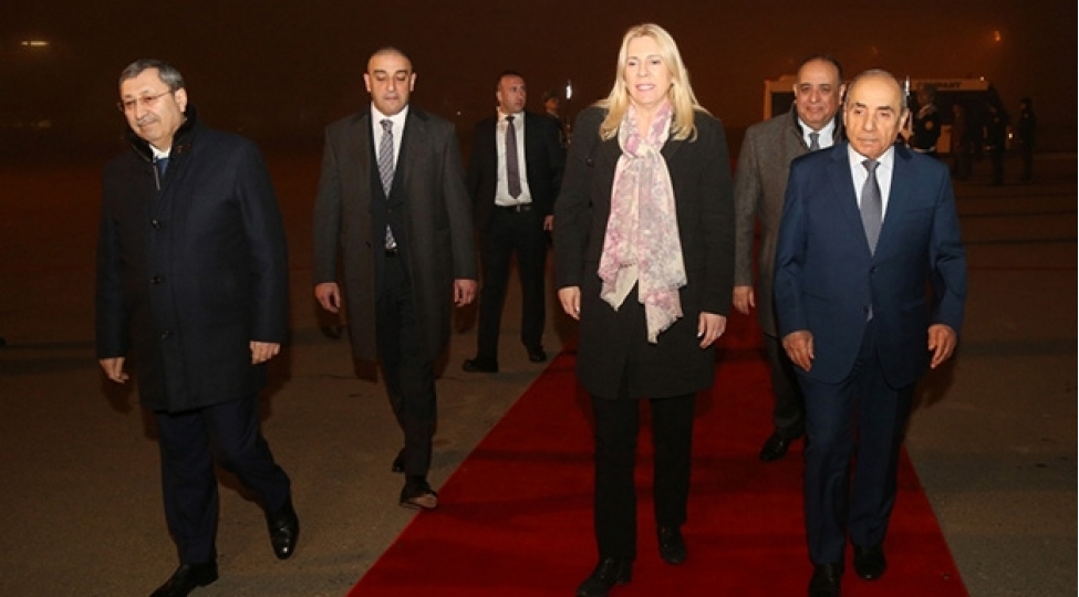 bosniya-ve-herseqovinanin-reyaset-heyetinin-sedri-azerbaycana-sefere-gelib