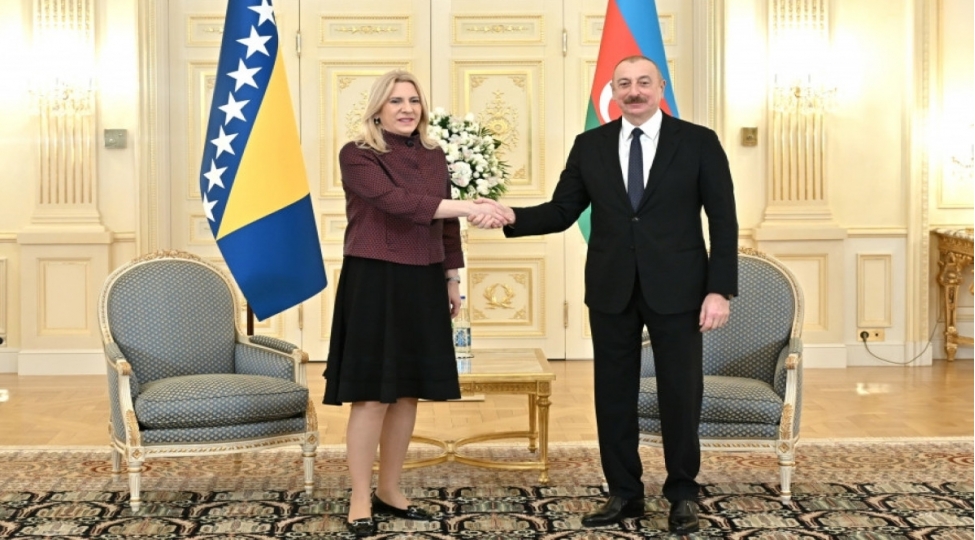jelka-tsviyanovich-bosniya-ve-herseqovina-ile-azerbaycan-arasinda-emekdashliq-uchun-boyuk-imkanlar-var