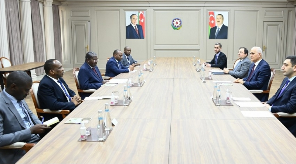 bash-nazirin-muavinitanzaniyanin-vitse-prezidenti-ile-gorushub