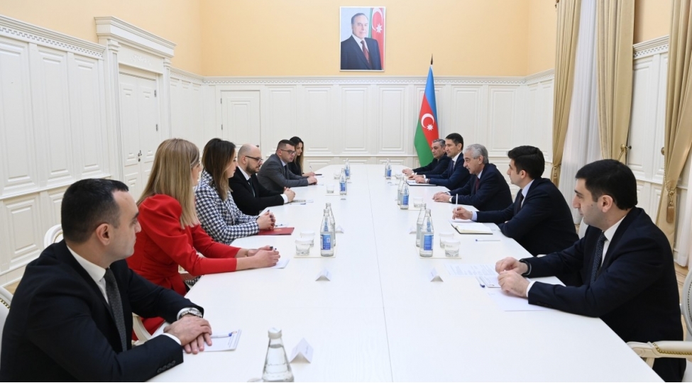 eli-ehmedov-monteneqronun-emek-ve-sosial-rifah-naziri-ile-gorushub