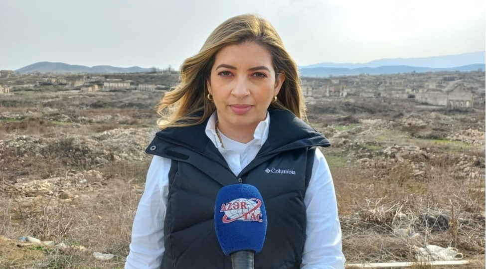 kolumbiyali-jurnalist-tekce-sheherler-kendler-dagidilmayibagaclar-yashilliqlar-da-mehv-edilib
